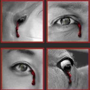 Spiegel der Wahrheit